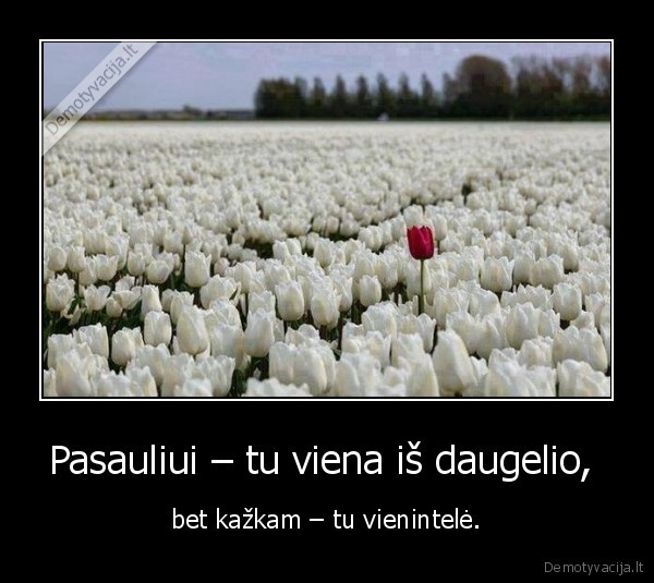 vienintele,pasaulis,meile