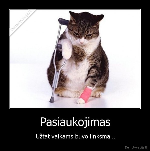 pasiaukojimas,kate,katinas,vaikai,linksmybes