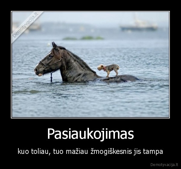 Pasiaukojimas
