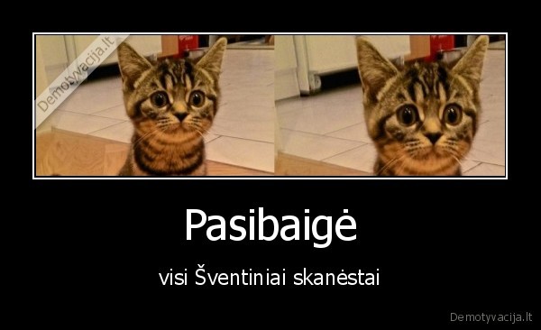 skanestai,pasibaige