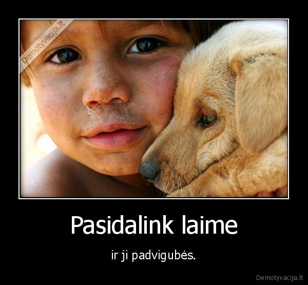 laime