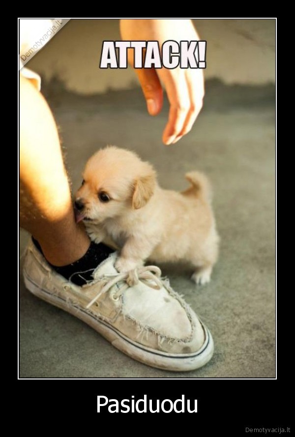 awwwwwwwwww