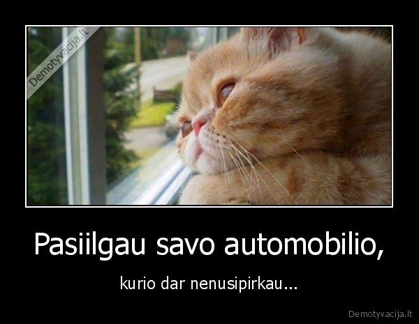 automobilis,ilgetis