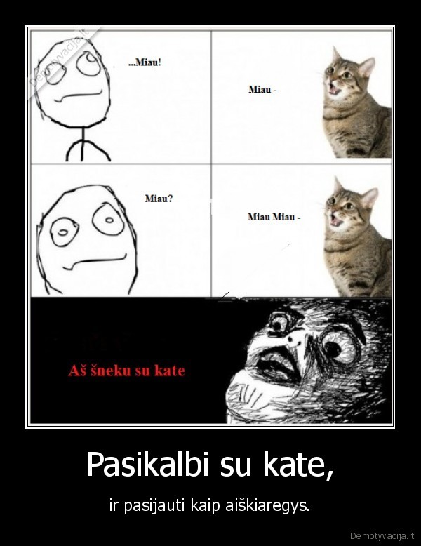 Pasikalbi su kate,