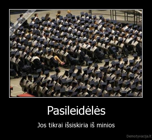 pasileideles,minia