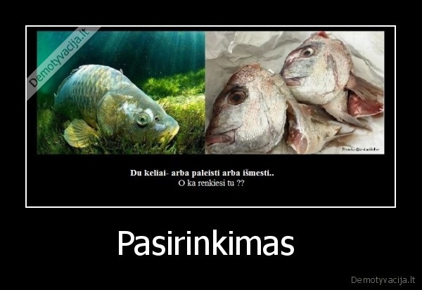 Pasirinkimas 