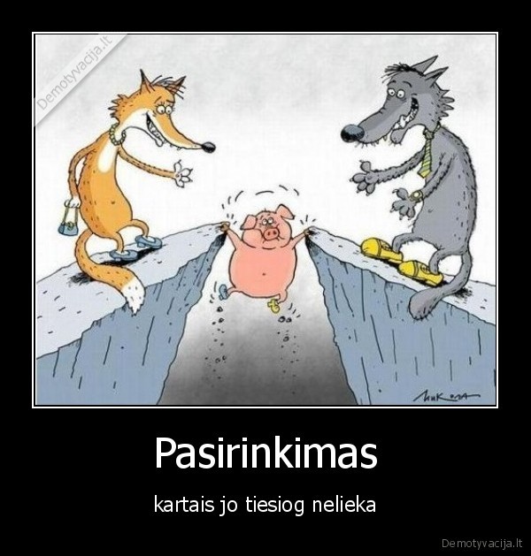 pasirinkimas