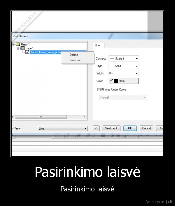 laisve,programa