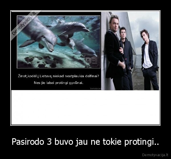 ryk,zuvedra,ryk