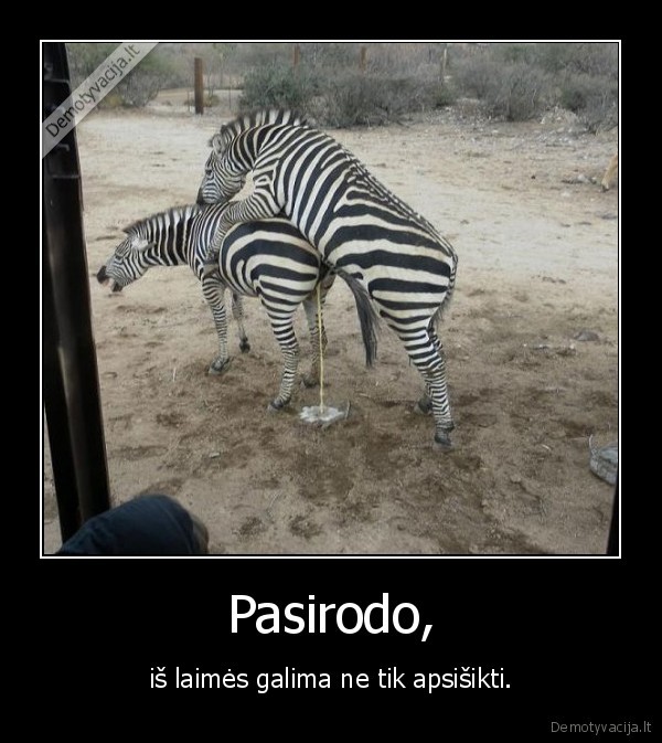 Pasirodo,
