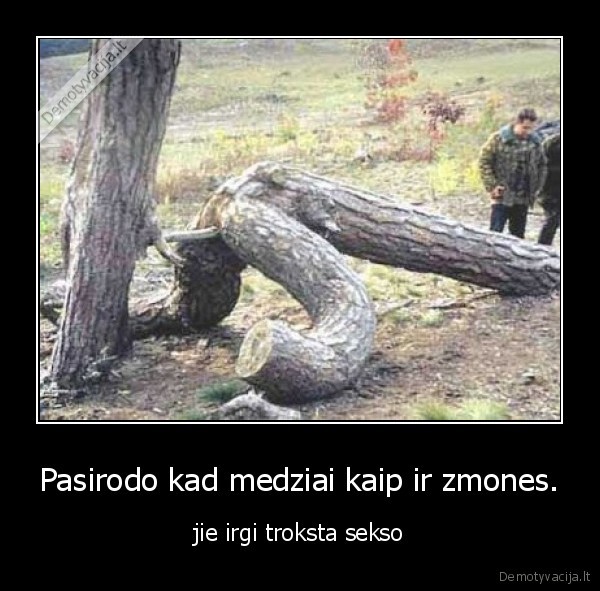 medziai, d