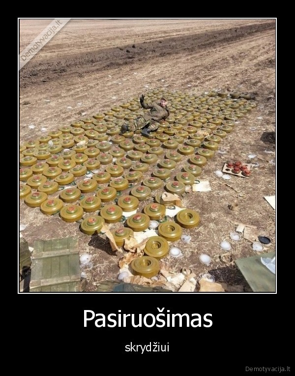 skrydis