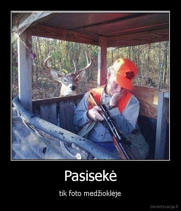 foto,medziokle