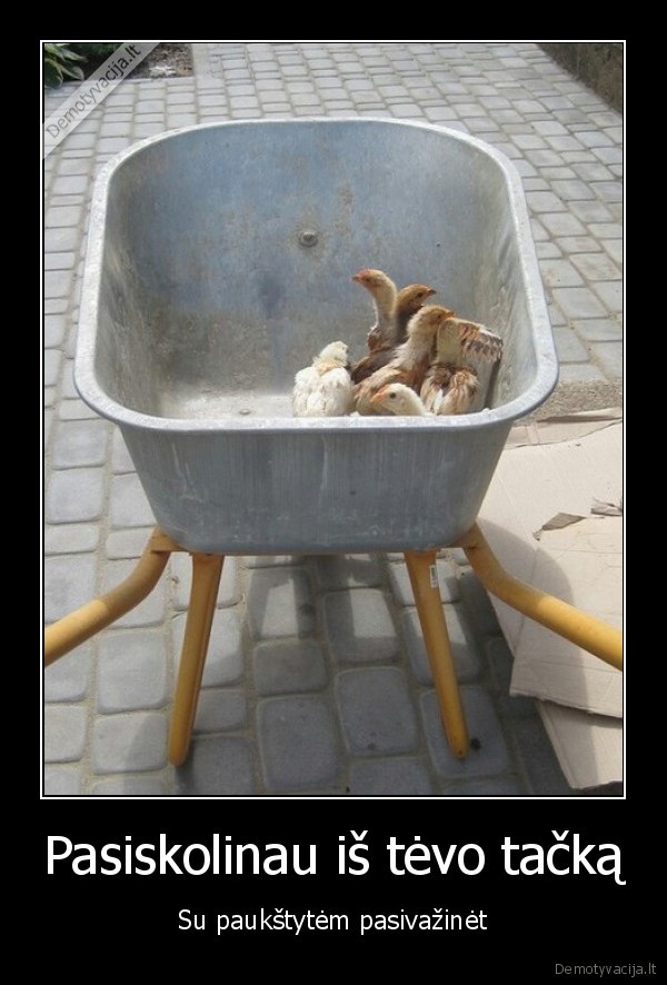vistos,tacka,karutis