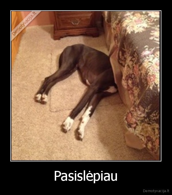 Pasislėpiau