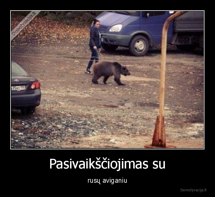 meska,rusu,aviganis