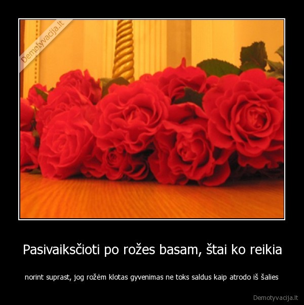 rozes,gyvenimas