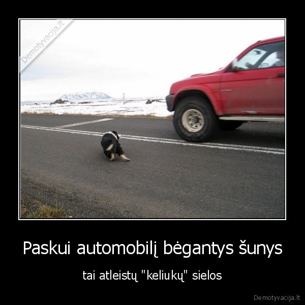 policija,suo,sunys,auto,automobiliai