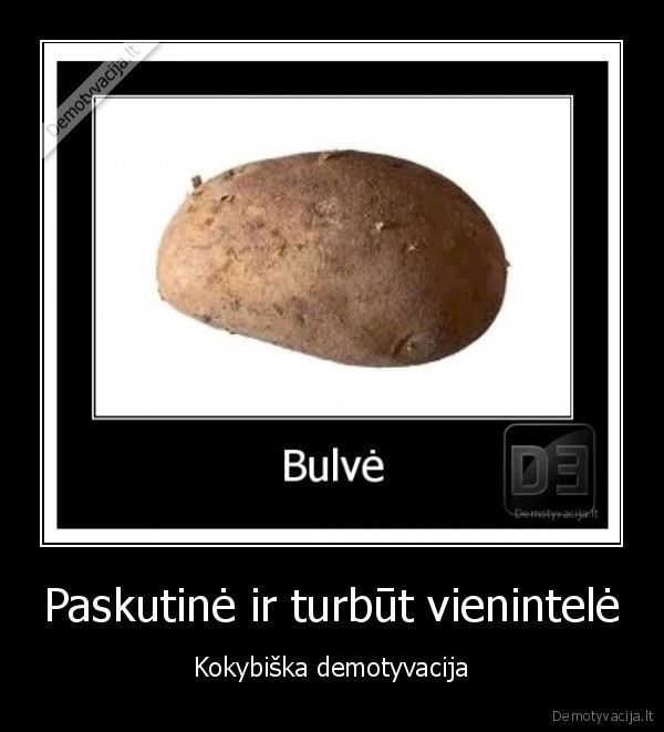 sakes, mums