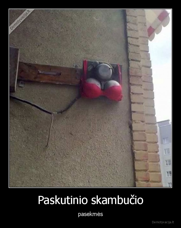 pasekmes,paskutinis,skambutis,varpai