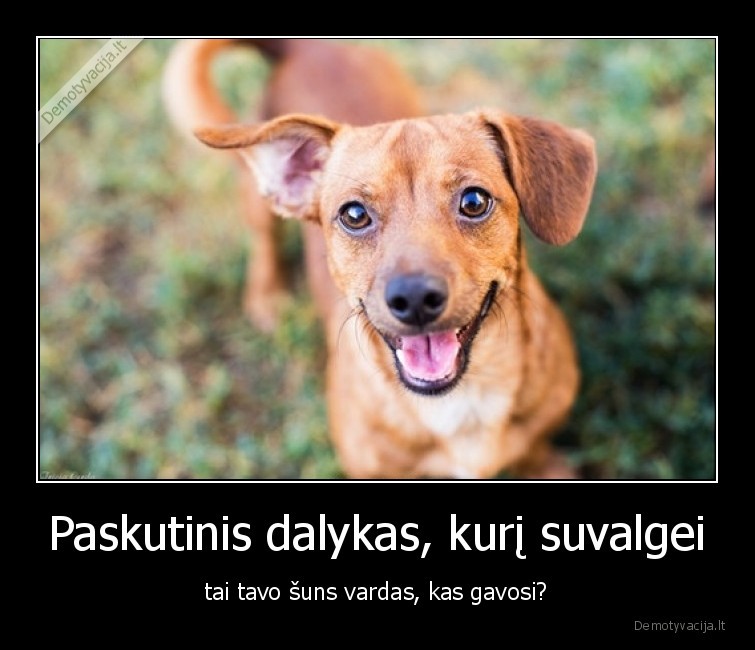 suo,vardas,maistas