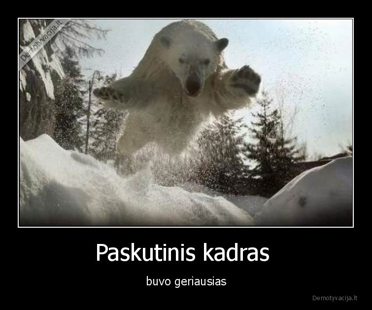 paskutinis,kadras,nuotrauka,paskutine,meska