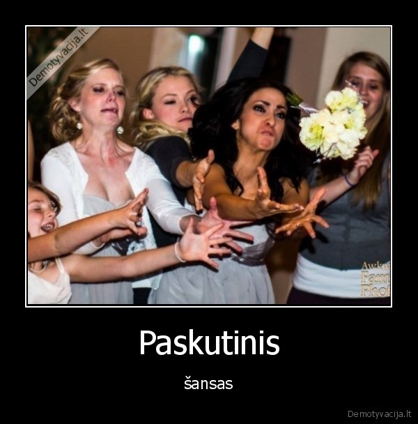 sansas,paskutinis