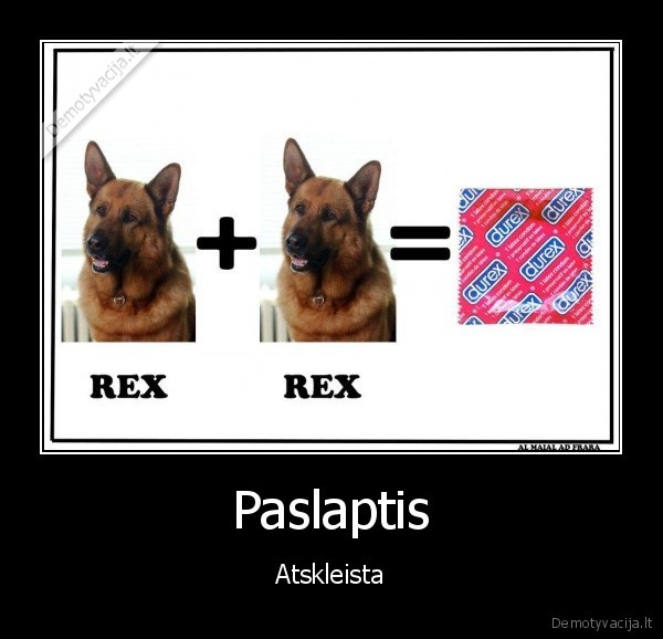 komisaras, rexas