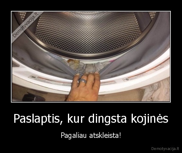 dingo, kojine,skalbimo, masina,paslaptis