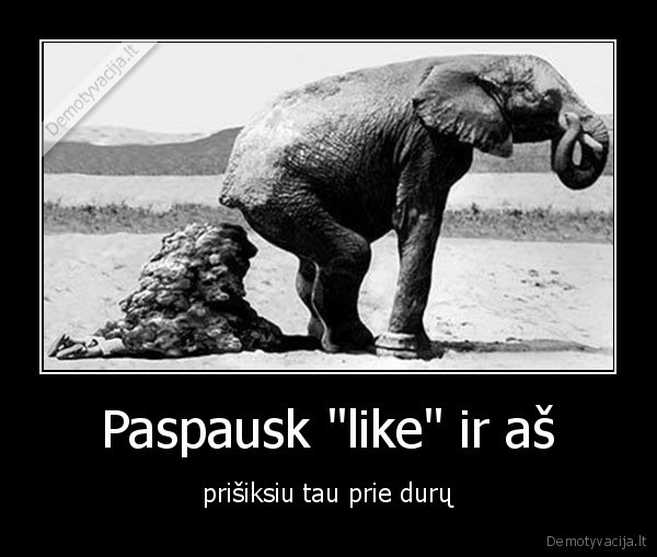 pabandom, taip, ddd, tik, palikit, komentaruose, savo, adresus, xdddd