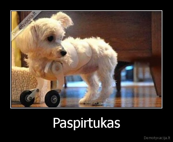 Paspirtukas