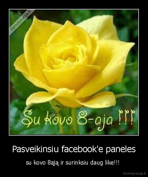 gele,facebooke