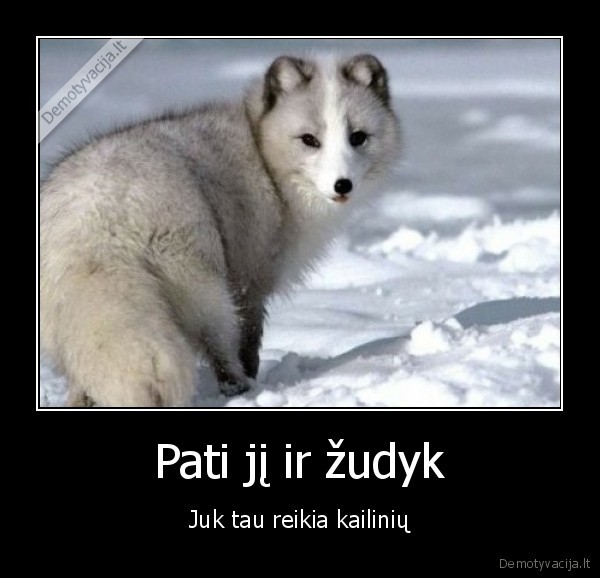 Pati jį ir žudyk