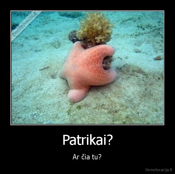 Patrikai?