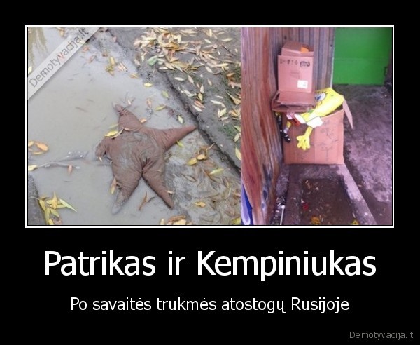 patrikas, zvaigzde,kempiniukas, placiakelnis,rusija