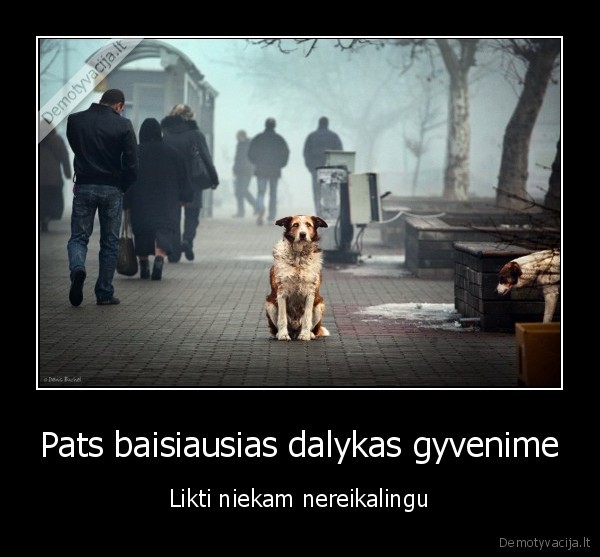 nereikalingas, suo,benamis, suo