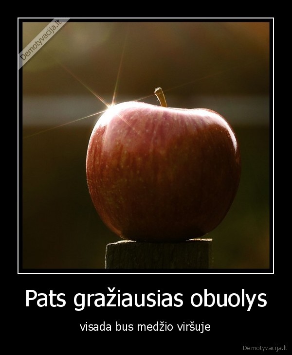 obuolys