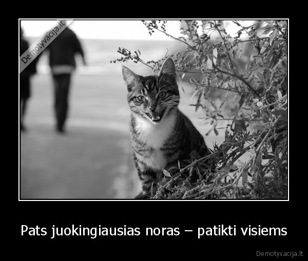 noras