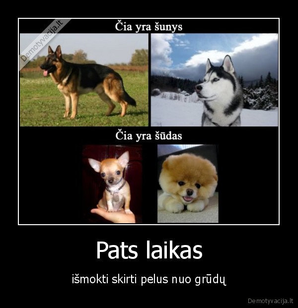Pats laikas