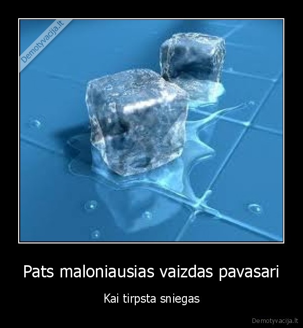 gyvenimas