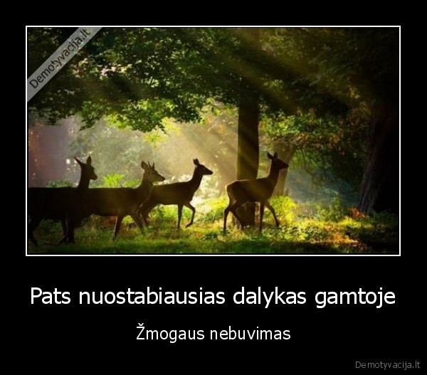 Pats nuostabiausias dalykas gamtoje