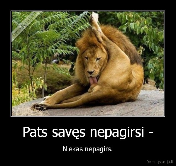 girti,save,pats