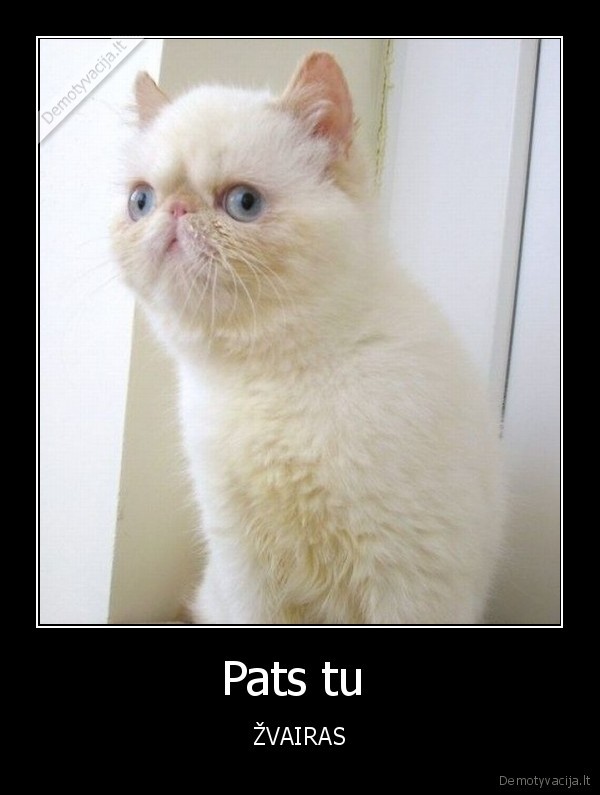 Pats tu 