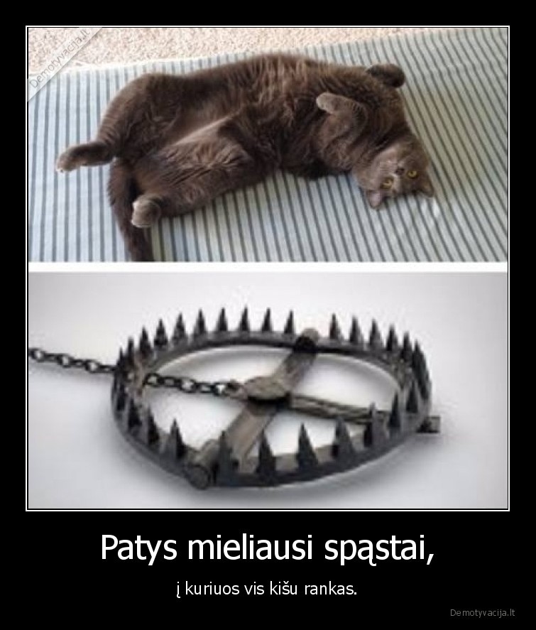 kate,katinas,pilvukas,spastai