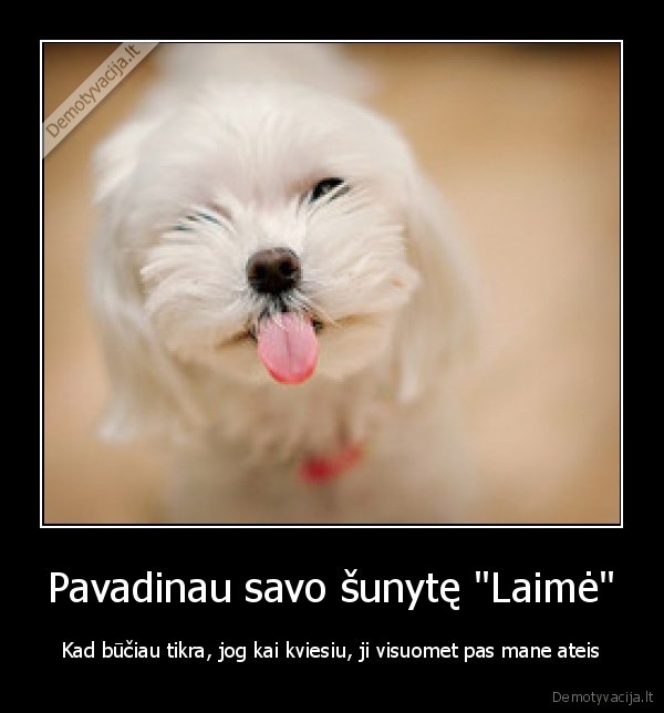 Pavadinau savo šunytę &quot;Laimė&quot;
