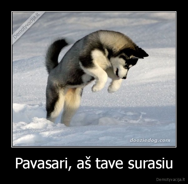 pavasaris,suo
