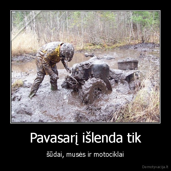 kakalai,parazitai, ir, pirdos