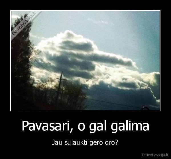 pavasaris,geri, orai