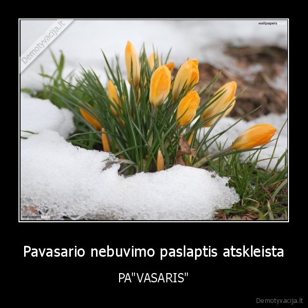 Pavasario nebuvimo paslaptis atskleista