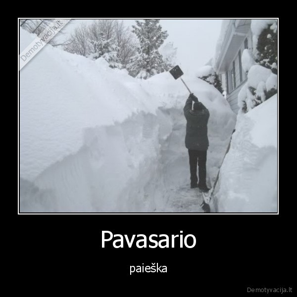 Pavasario